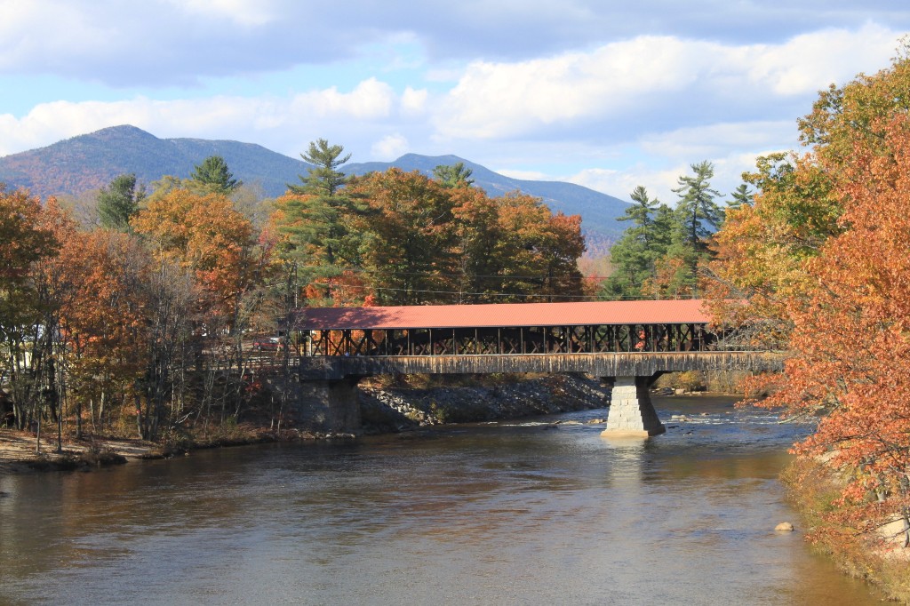 The Local Area photos.jpg